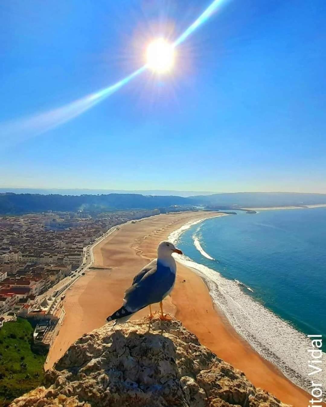 Maresia Villa Mar Nazaré Esterno foto